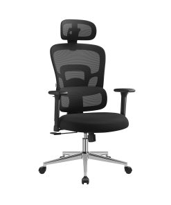 Ergonomic Office Chair with Headrest and Armrests