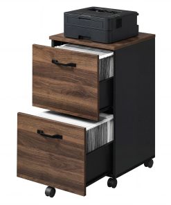 VASAGLE 2-Drawer File Cabinet. Small Rolling Filing Cabinet