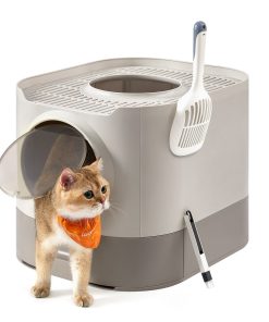 Cat Litter Box with Lid