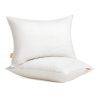 Bed Pillows Set of 2